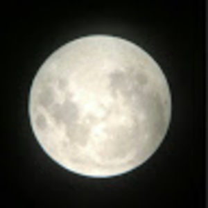 Meet your Posher, Jen